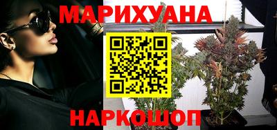 apvp Можга