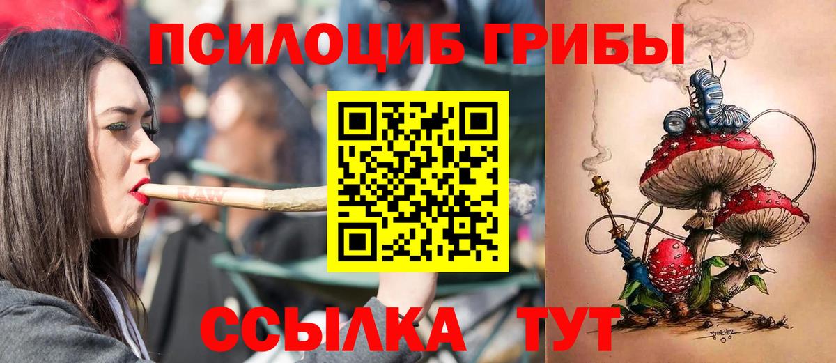 Псилоцибиновые грибы GOLDEN TEACHER Шатура